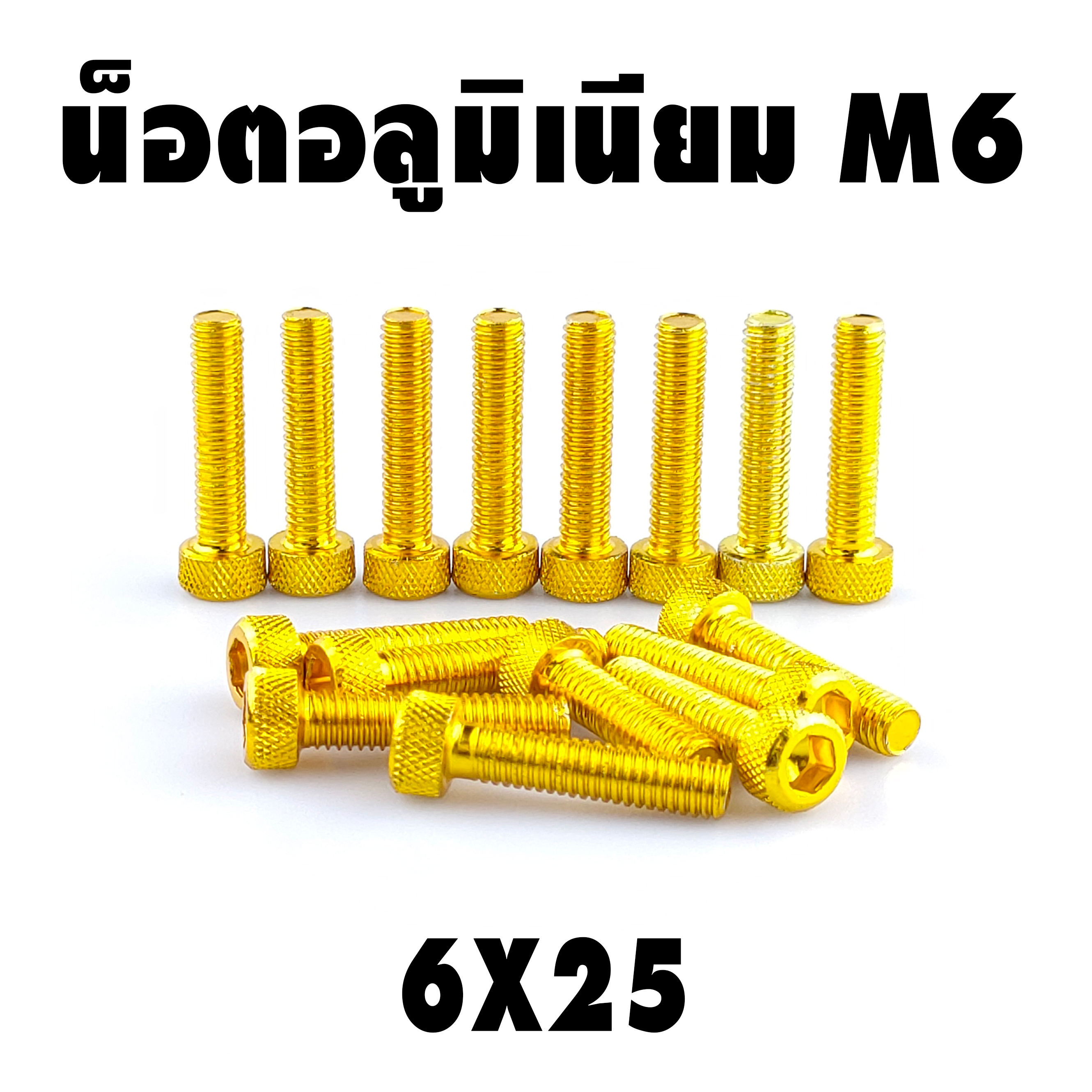 น็อตแต่ง อลูมิเนียม 6*25 (เบอร์ 10) ชุดละ 10 ตัว ราคา 100 บาท