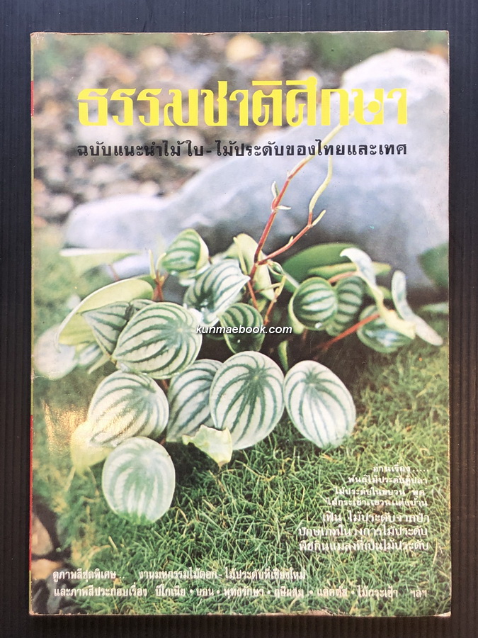 ธรรมชาติศึกษา ฉบับแนะนำไม้ใบ ไม้ประดับของไทยและเทศ