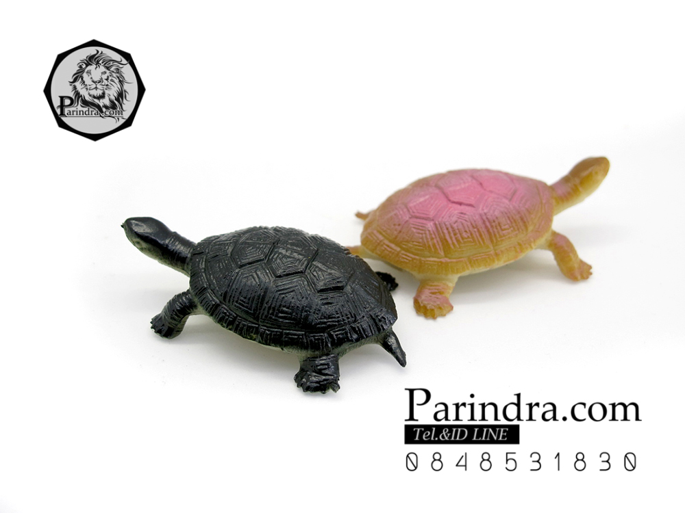 โมเดลเต่า ชุดคู่สองตัว