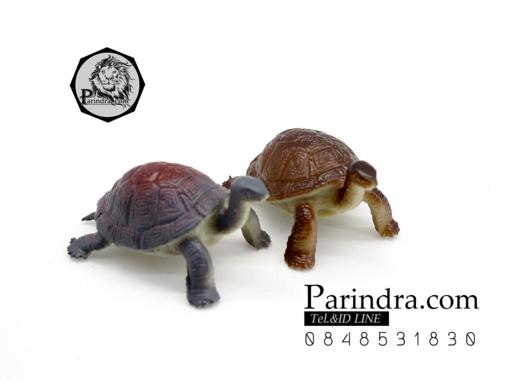 โมเดลเต่ายักษ์กาลาปากอส ชุดคู่สองตัว