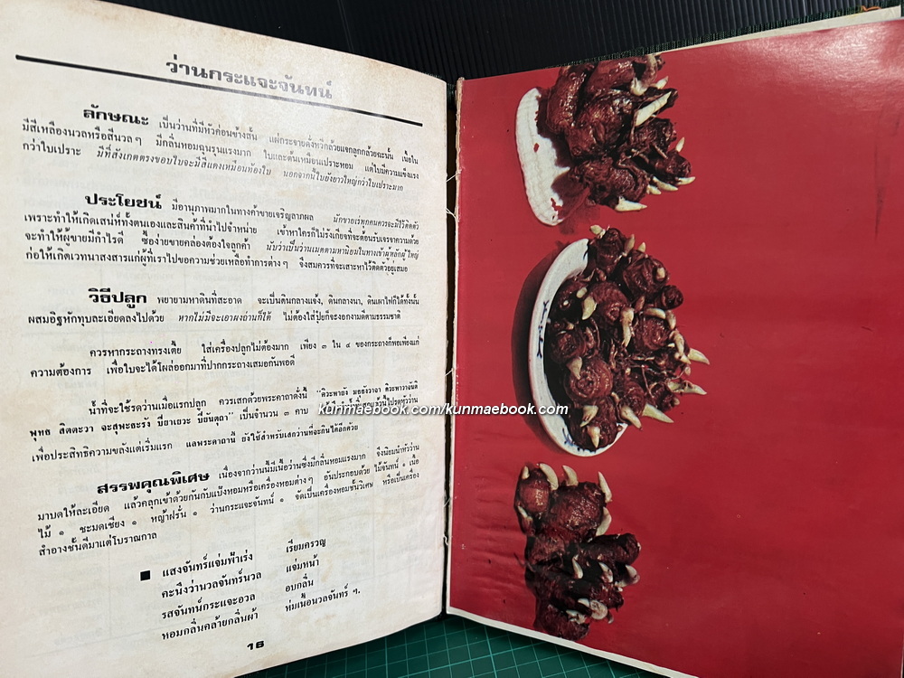 108 ว่านมหัศจรรย์ ผลงานของ เชษฐา พยากรณ์ , ส.เปลี่ยนศรี , อุทัย ธานี