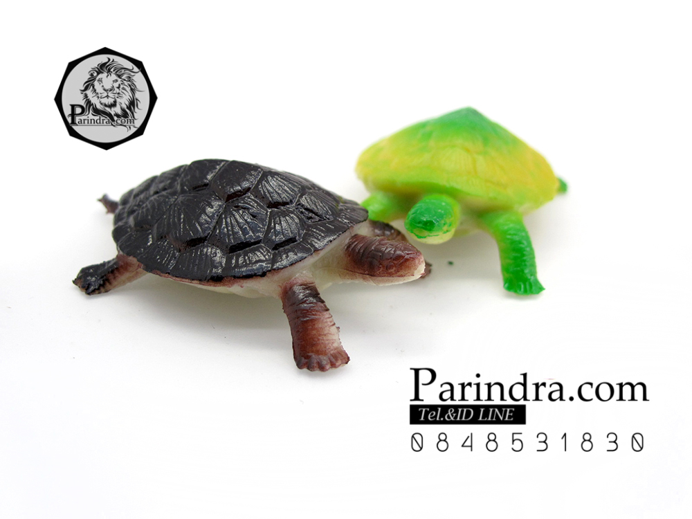 โมเดลเต่าญี่ปุ่น ชุดคู่สองตัว