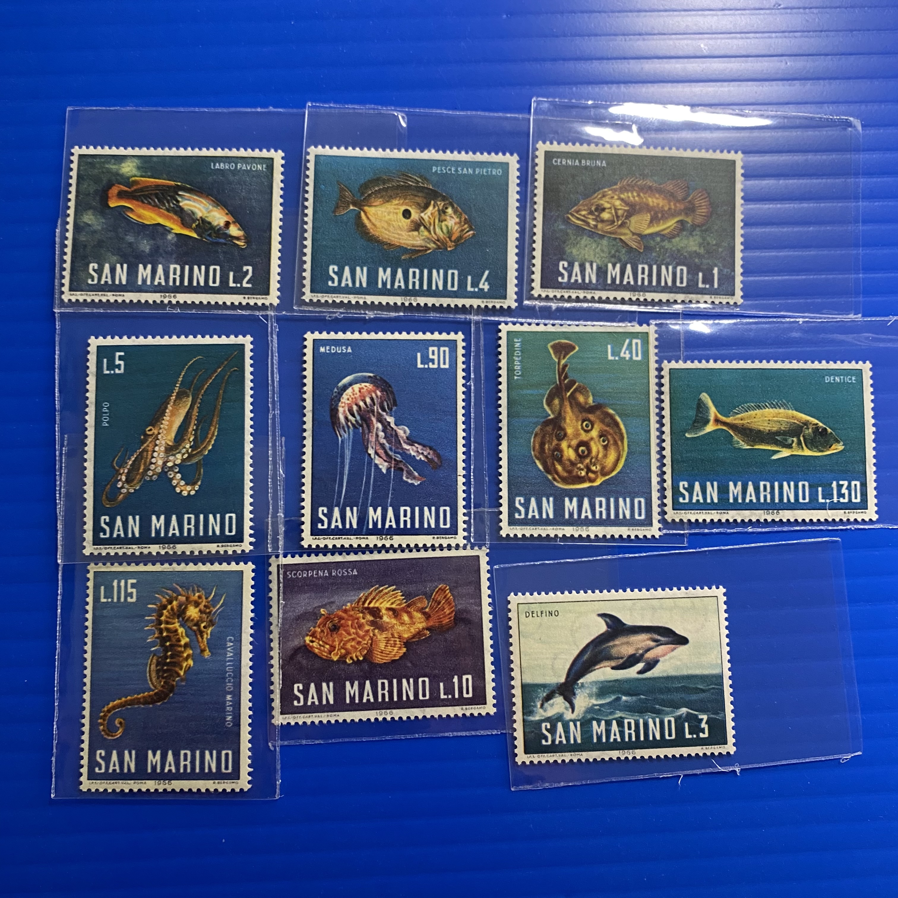 แสตมป์ซานมาริโน ชุด MARINE LIFE สัตว์ทะเลสวยงาม ปี 1966 - SAN MARINO