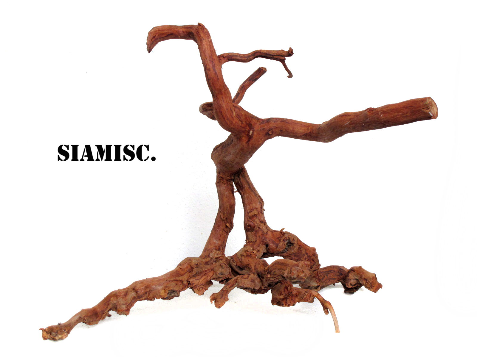 รากไม้แดงตกแต่งตู้ปลาหรือใช้เลี้ยงสัตว์เลื้อยคลาน 025