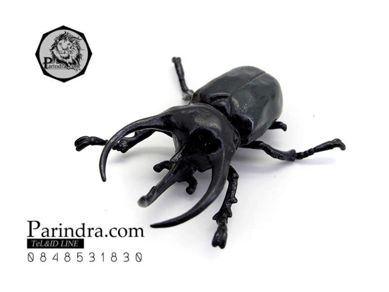 โมเดลด้วง ชำรุด