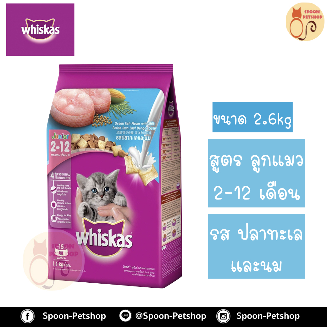 Whiskas อาหารแมว วิสกัส สำหรับลูกแมว รสปลาทะเล และนม 2.6kg