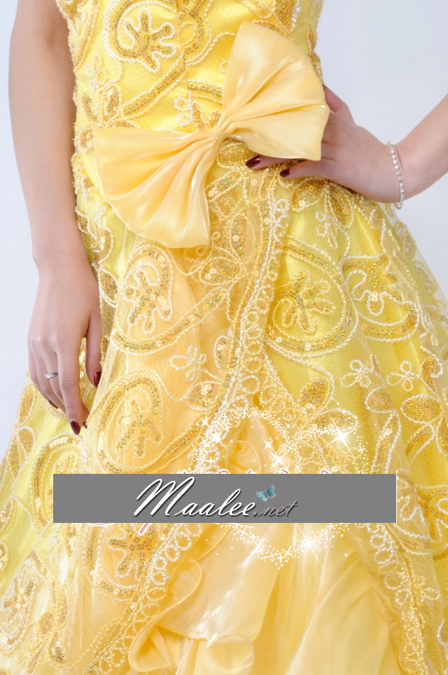 พร้อมเช่า ชุดแฟนซี ชุดราตรียาว สีฟ้า ผ้าแก้วพิมพ์ลายสวย กระโปรงแต่งระบาย