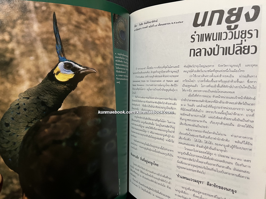 ห้วยขาแข้ง 'รวมสารคดี-ภาพ ป่าและสัตว์ป่าหายาก ที่เป็นมรดกสัตว์ป่าและพืชพันธุ์ของโลก'