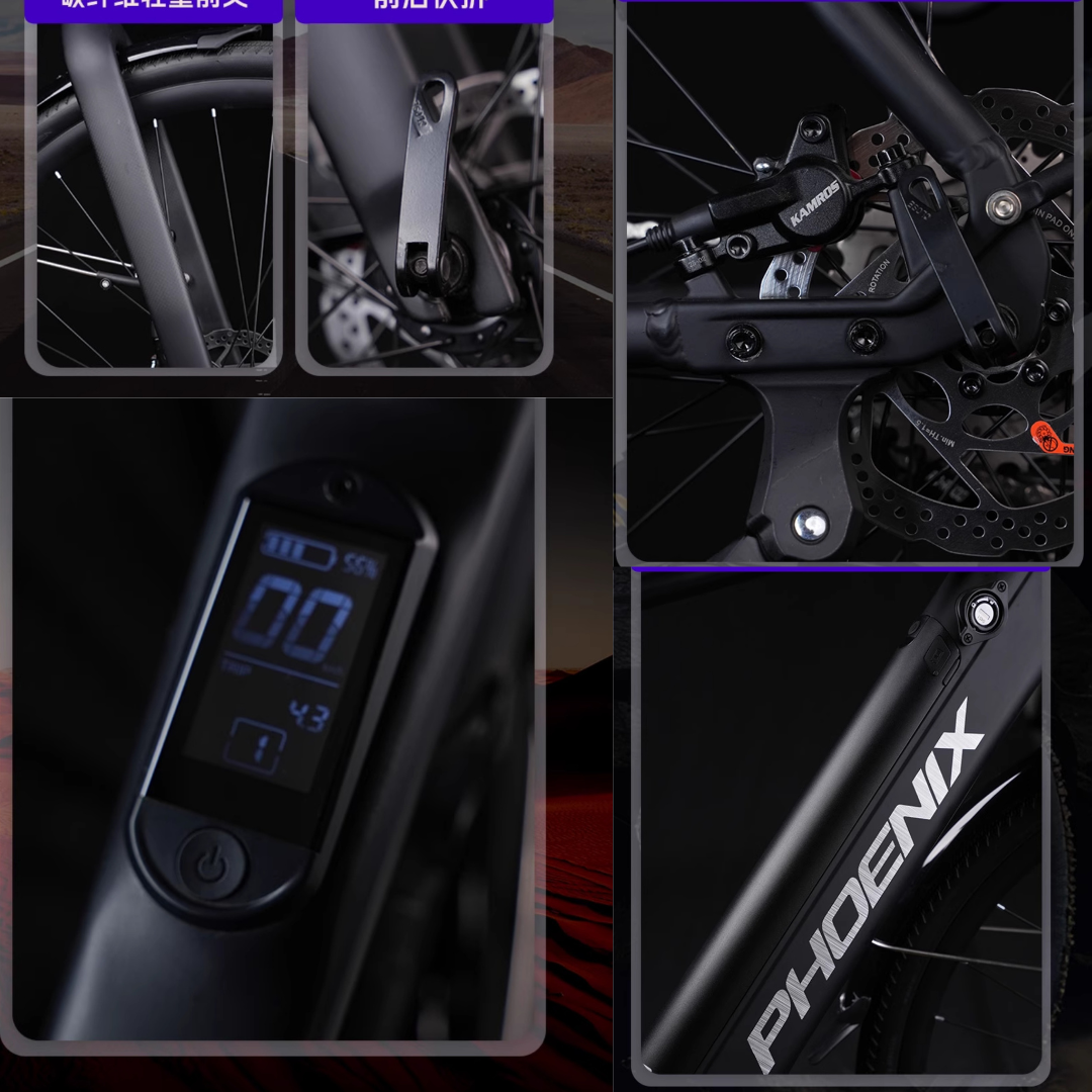 Phoenix LR Ultra Electric Bike 48V | 700C Road E-Bike | 10-20AH Battery | 10-12 Speed | Best Price