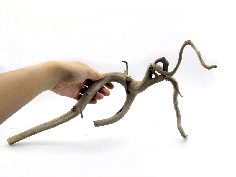 ขอนไม้ตกแต่งตู้ปลาหรือใช้เลี้ยงสัตว์เลื้อยคลาน 078