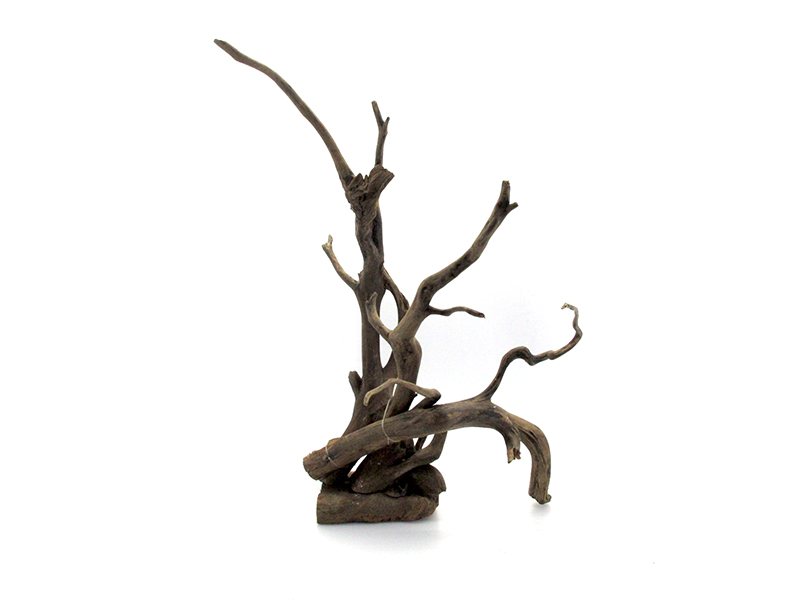 ขอนไม้ตกแต่งตู้ปลาหรือใช้เลี้ยงสัตว์เลื้อยคลาน 073