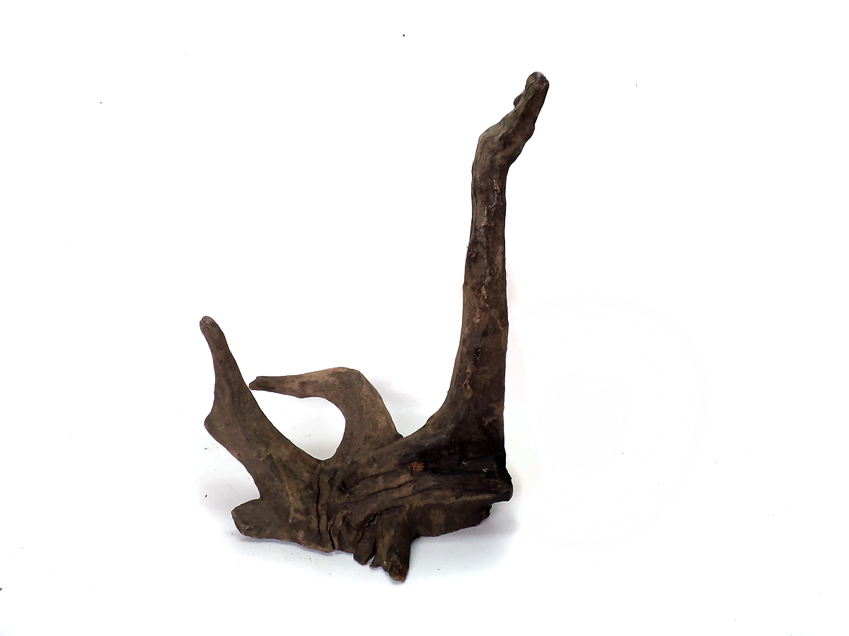 ขอนไม้ตกแต่งตู้ปลาหรือใช้เลี้ยงสัตว์เลื้อยคลาน 019