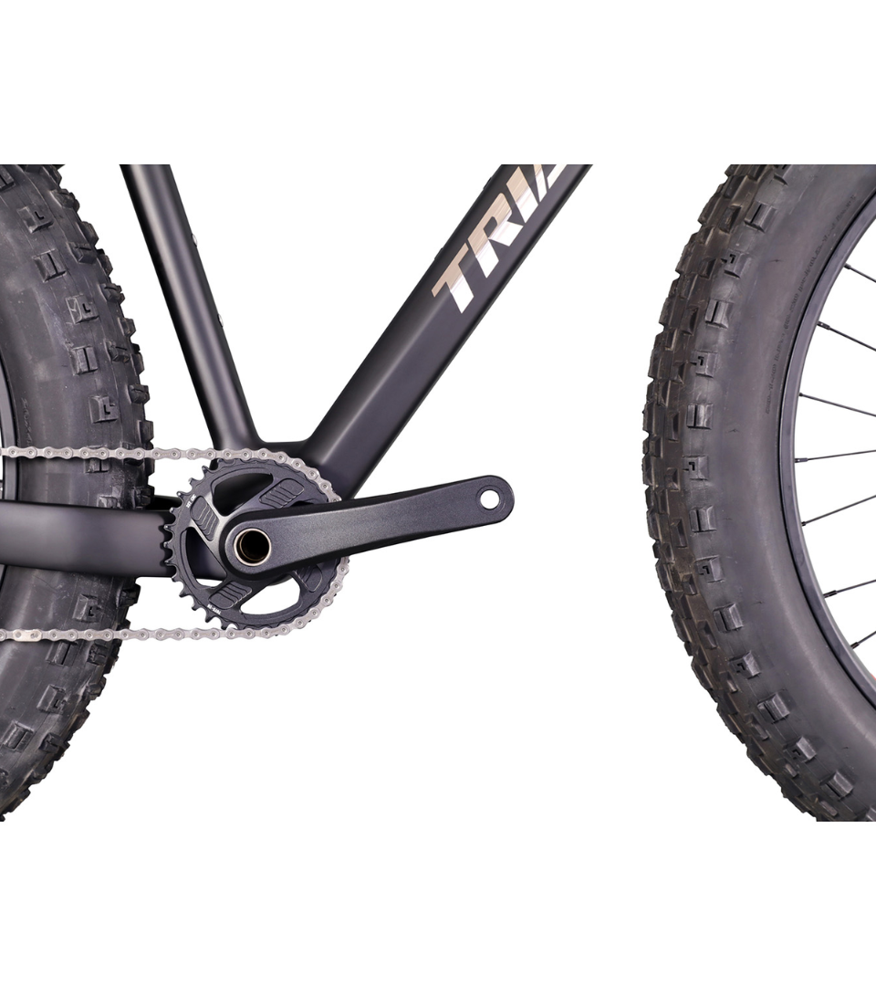TRIAERO จักรยาน Fat Bike Carbon SN02 - พร้อมลุยหิมะและชายหาด