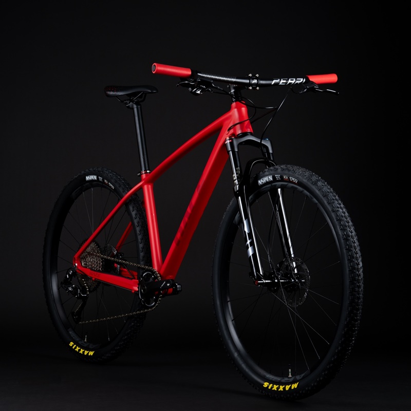 จักรยานเสือภูเขา KAZE RACE SLASH 29er STD (standard version) L-TWOO AX 12 speed NEW2025