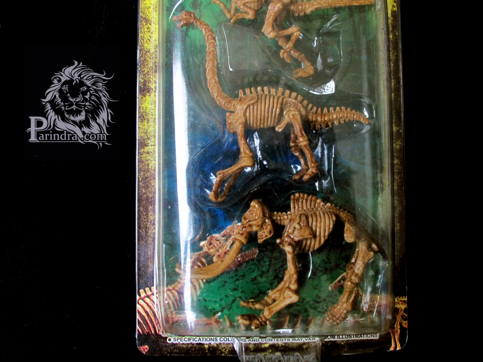 โมเดลฟอสซิลไดโนเสาร์ สัตว์โลกล้านปี ชุด B