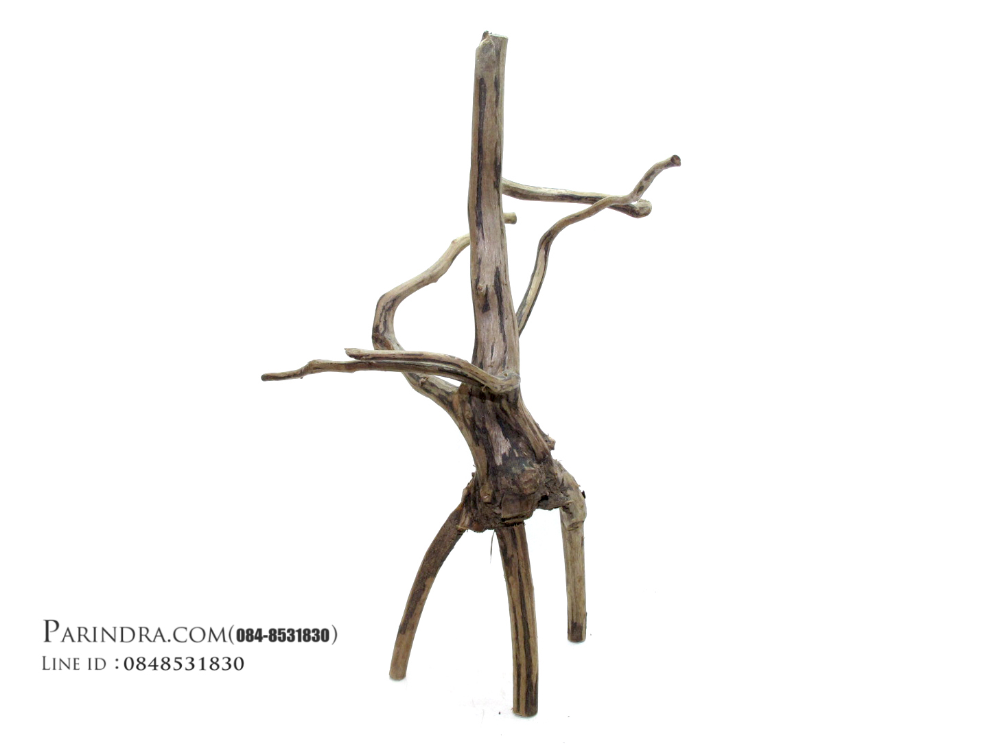 ขอนไม้ตกแต่งตู้ปลาหรือใช้เลี้ยงสัตว์เลื้อยคลาน 015