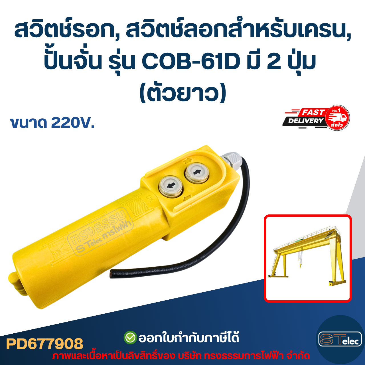 สวิตช์รอก, สวิตช์ลอกสำหรับเครน, ปั้นจั่น รุ่น COB-61D มี 2 ปุ่ม (ตัวยาว)