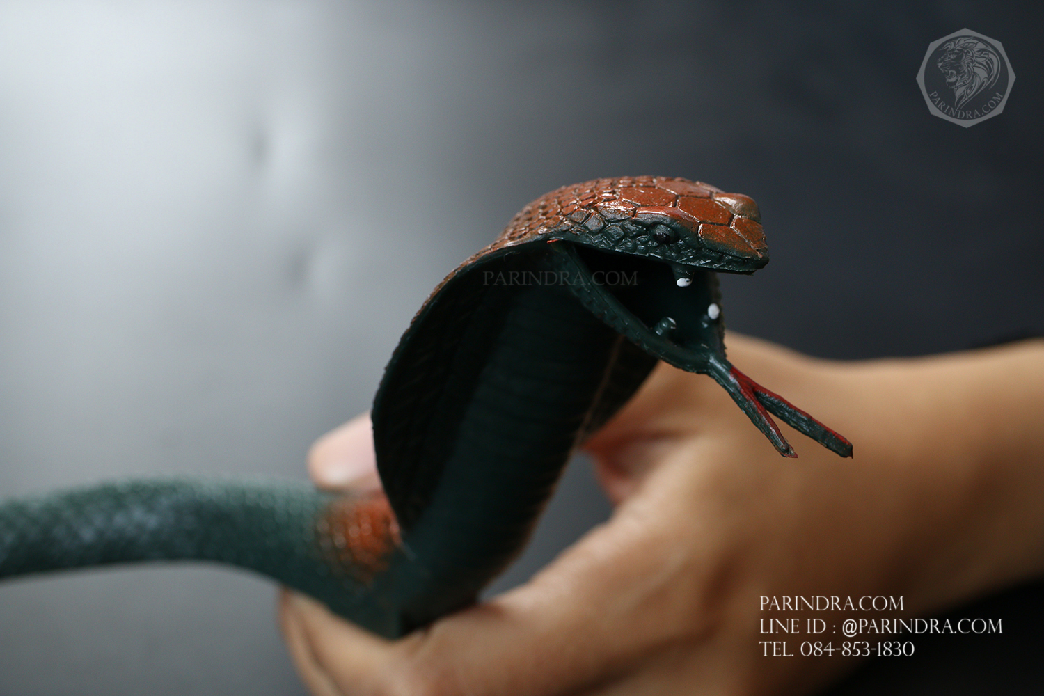 โมเดลงูเห่า เหมือนจริงมาก ทำจากยางยืดหยุ่น สวยๆครับ