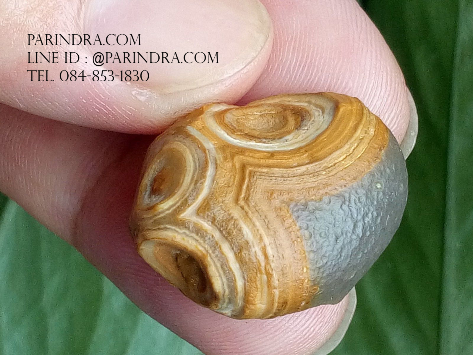 หินรูปทรงประหลาดจากทะเลทรายโกบี GOBI Eye Stone #GOBI001