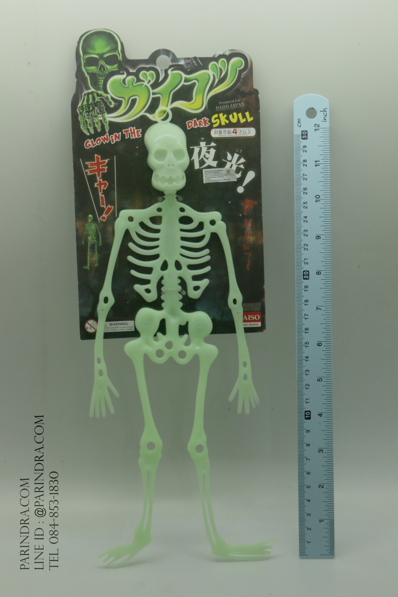 โมเดลโครงกระดูกเรืองแสง Glow in the Dark Skeleton (น้าผีเรืองแสง)