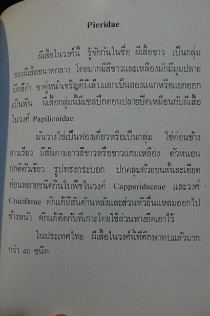 Butter flies in Thailand Vol.1-2 ( ภาษาไทย )