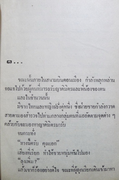 สะใภ้ผมทอง ผลงานของ นิรชา