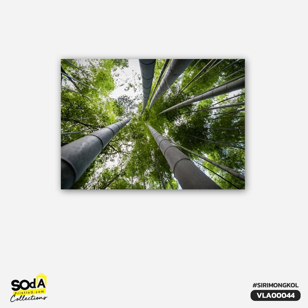 ภาพตกแต่งบ้านสำเร็จรูป Forest VLA00044 #SOdAcollection #ภาพตกแต่งบ้านสไตล์มงคล #ภาพมงคล #สิริมงคล #SIRIMONGKOL #FORTUNE