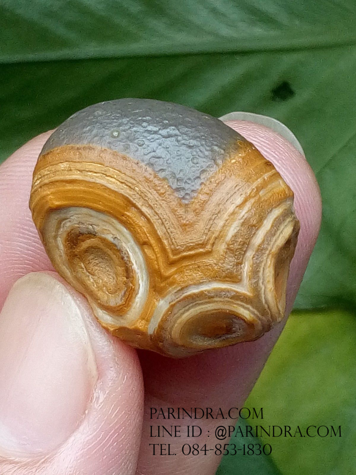 หินรูปทรงประหลาดจากทะเลทรายโกบี GOBI Eye Stone #GOBI001