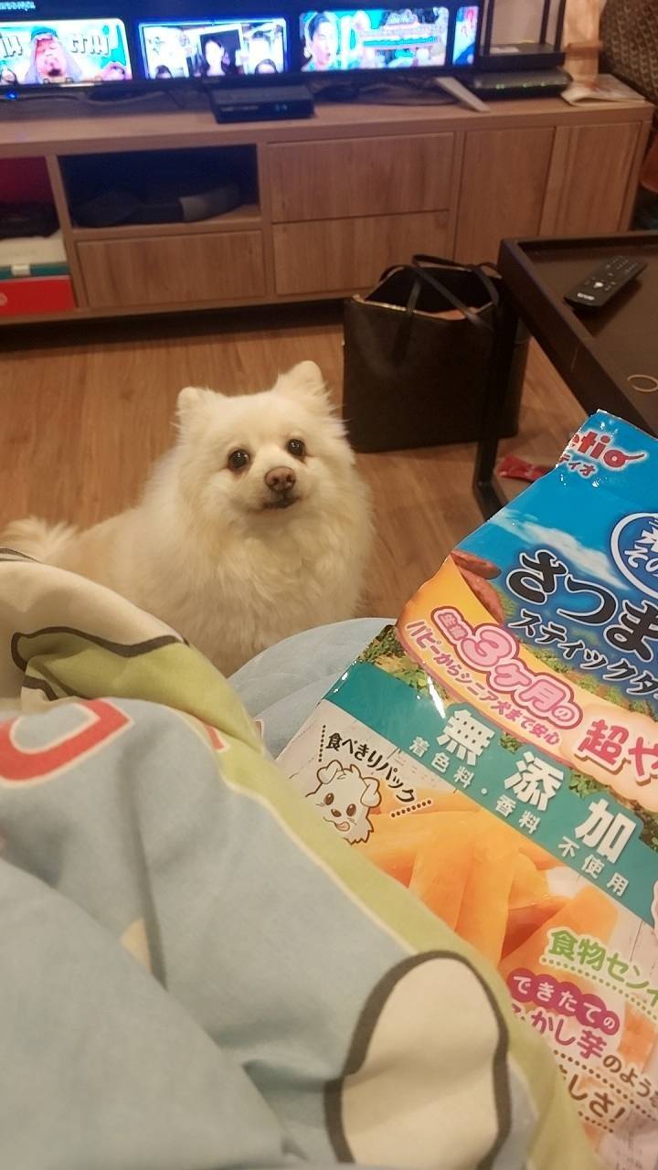 Petio Sweet Potato Stick Super Soft ขนมน้องหมา ขนมมันสำหรับหมาแบบแท่ง ขนาด 120g (40gx3) จากญี่ปุ่น