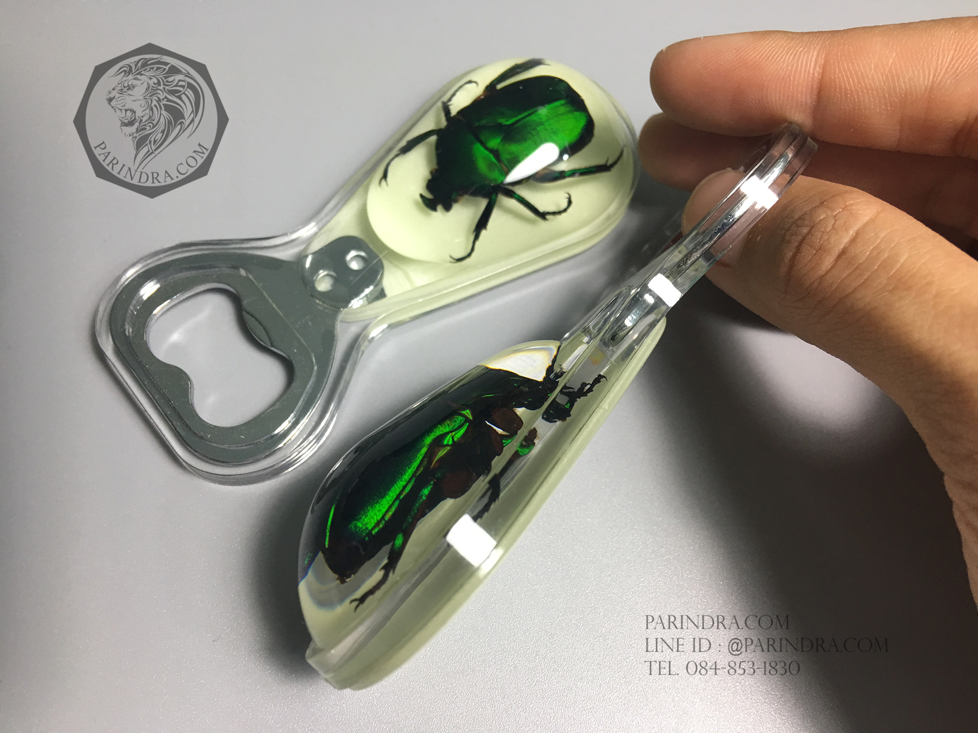 ที่เปิดขวด แมลงทับสีเขียวในเรซิ่น แบบมีแม่เหล็กติดกับตู้เย็น