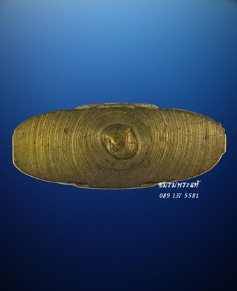 หลวงพ่อโสธร สามเหลี่ยมสองหน้า ปี08 พิมพ์44-44 ก้นกลึง(1)