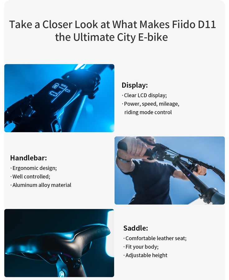 FIIDO D21 FOLDING SPORT ELECTRIC BIKE