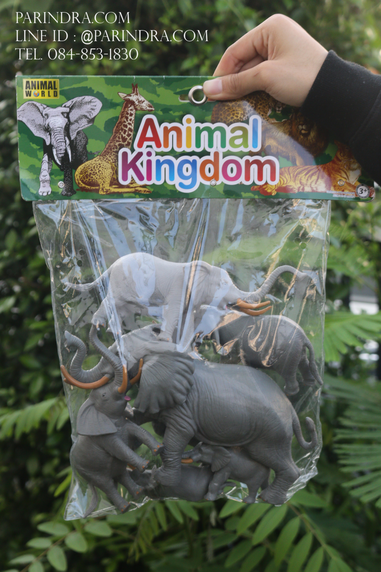 โมเดลสัตว์ชุดโขลงช้าง