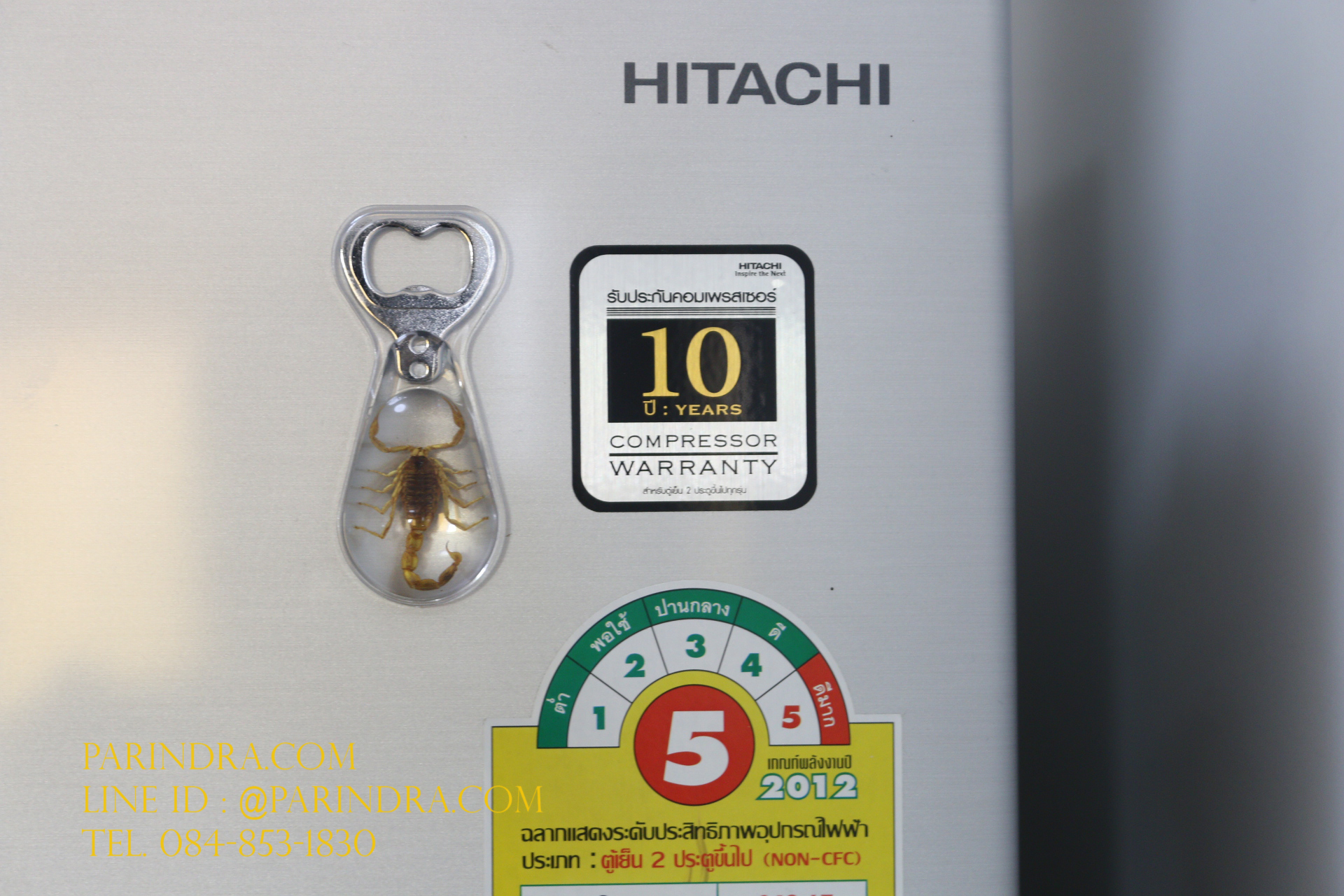 ที่เปิดขวด แมลงตัวอ้วนกลมสีเหลืองในเรซิ่น แบบมีแม่เหล็กติดกับตู้เย็น