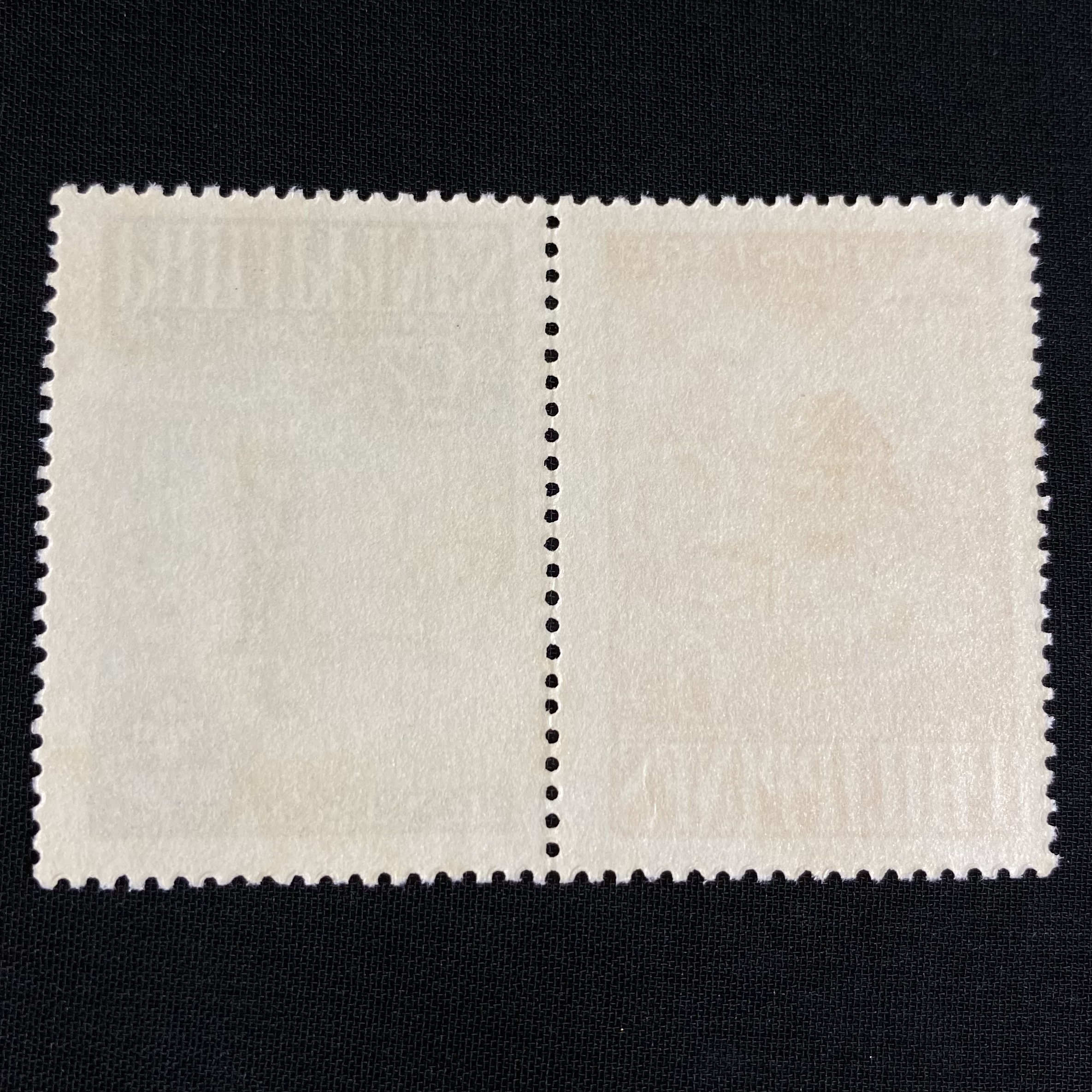 แสตมป์ฟิลิปปินส์ ชุด ลูกเสือโลก #B11A Boy Scout World Jamboree ปี 1959 - PHILIPPINES