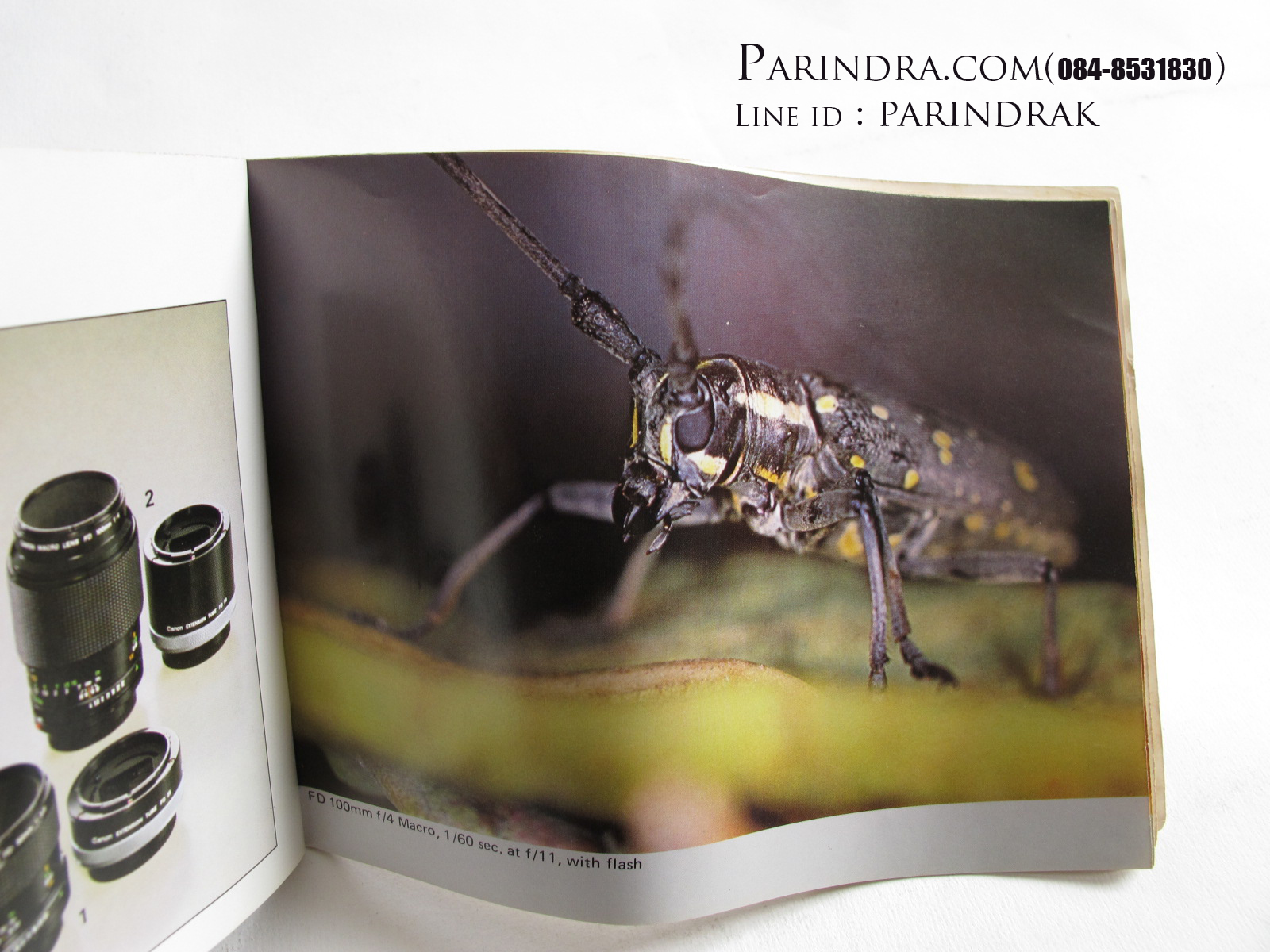 หนังสือ Canon Interchangeable Lenses หนังสือของเลนส์ยุคฟิล์ม PRINTED IN JAPAN (หายาก)