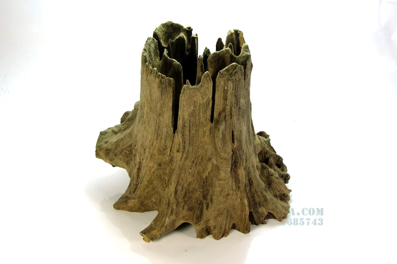 ขอนไม้ ตอไม้ สำหรับตกแต่งตู้ปลา