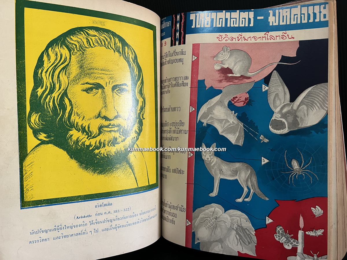 วิทยาศาสตร์ - มหัศจรรย์ ชุดที่ 1 ตอน 1 เล่ม 1 - 12 ( ปกสวย )