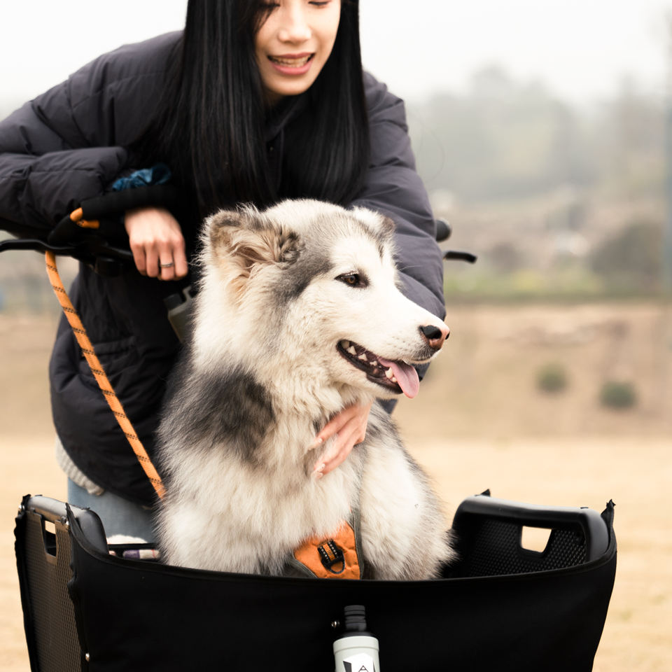 Atmose Mini Cargo 2025 – จักรยานไฟฟ้ามินิคาร์โก 3 รุ่น Hub Motor / Mid Drive / ธรรมดา | ล้อ 16/20 นิ้ว | รับน้ำหนัก 175kg