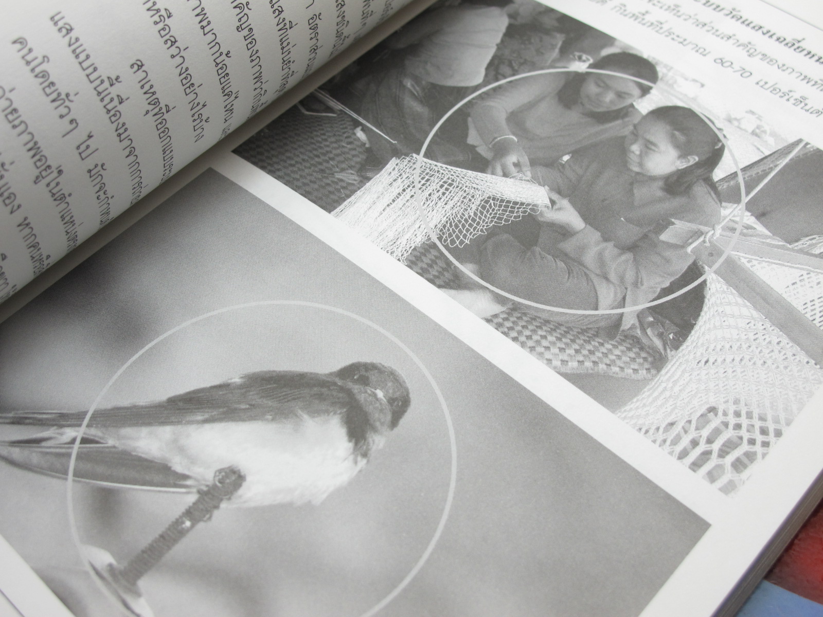 หนังสือ เทคนิคการวัดแสง