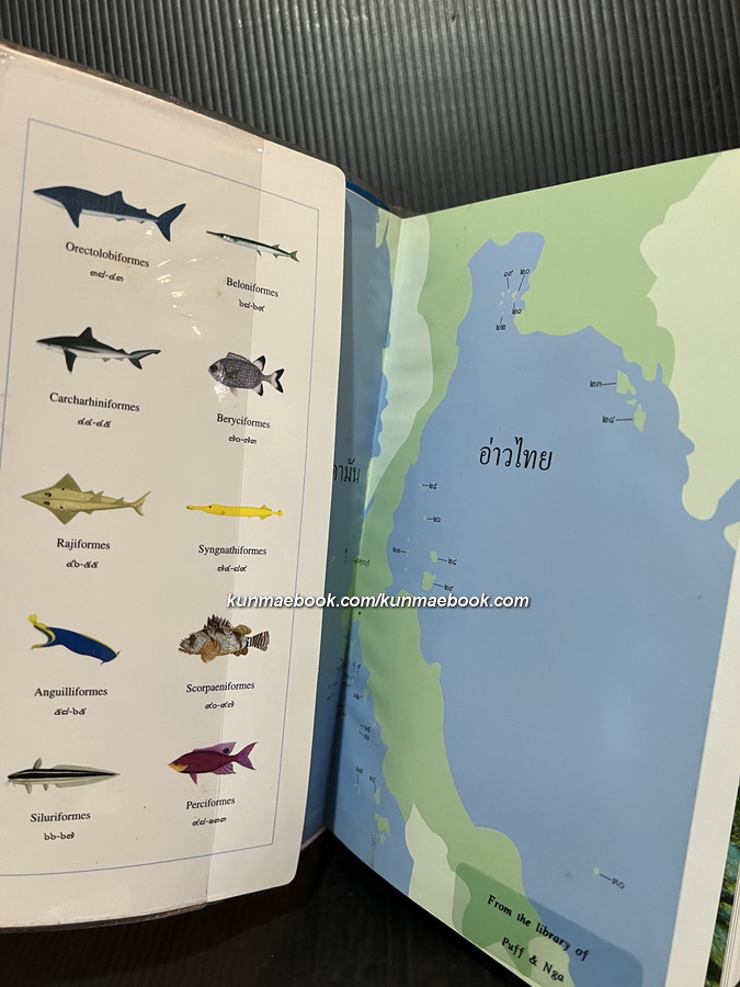 ปลาทะเลไทย เล่ม ๑ ( พร้อม CD ) โดย ธรณ์ ธำรงนาวาสวัสดิ์ และคณะ