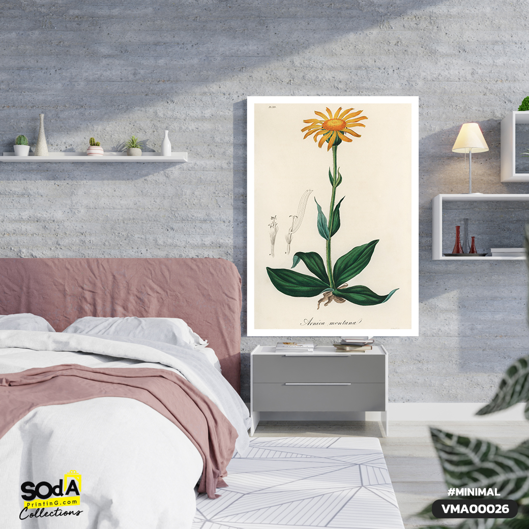 ภาพตกแต่งบ้านสำเร็จรูป Dahlberg Daisy VMA00026 #SOdAcollection #ภาพตกแต่งบ้านสไตล์มินิมอล #มินิมอล #MINIMAL