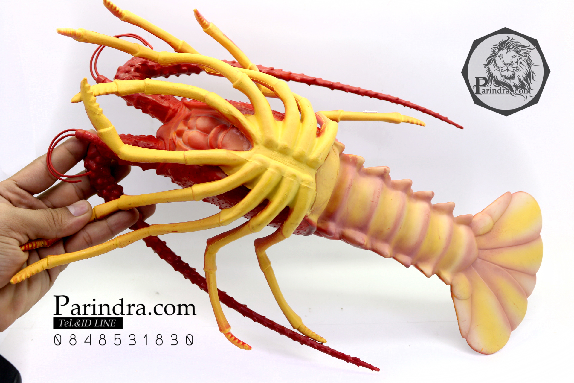 โมเดลกุ้งมังกร Lobster ยักษ์ แบบยางกึ่งอ่อนนุ่มกึ่งแข็ง ตั้งโชว์สวย ขนาดใหญ่ 16 นิ้ว