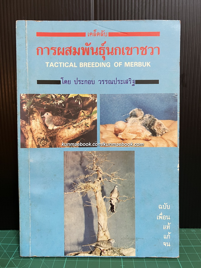 เคล็ดลับการผสมพันธุ์นกเขาชวา โดย ประกอบ วรรณประเสริฐ