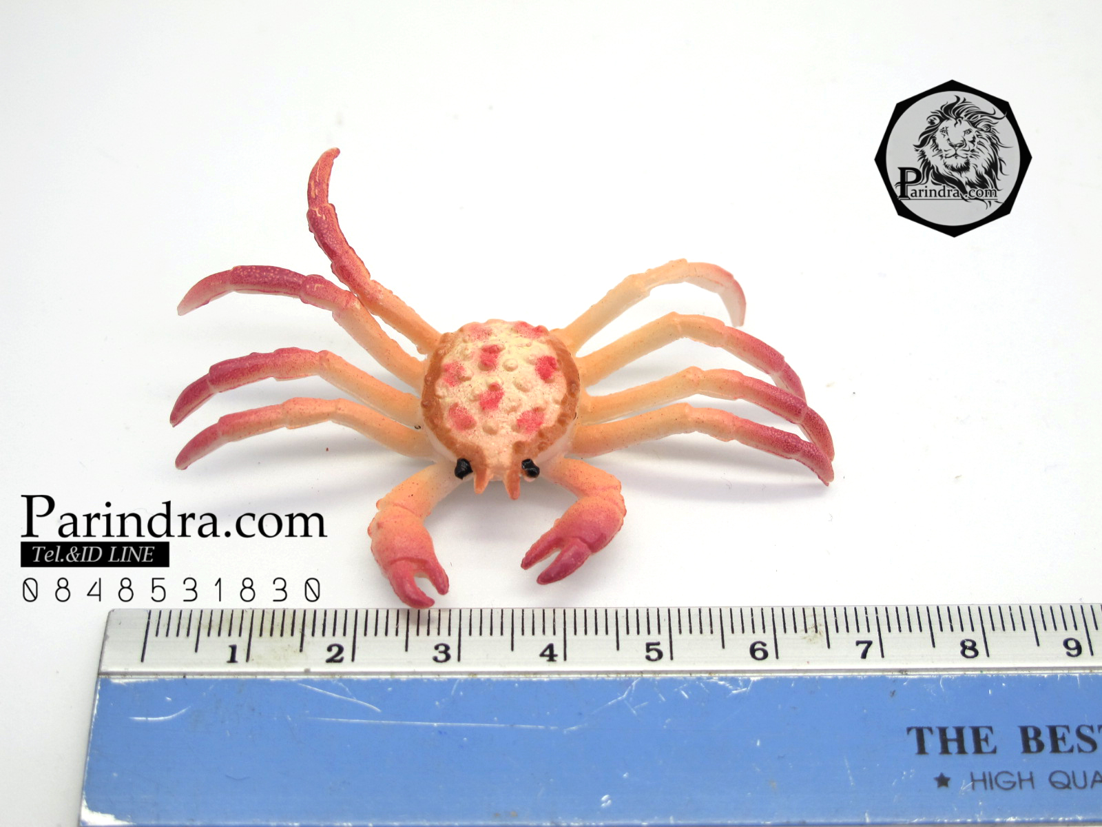 โมเดลชุดปูทะเล Educational Toys SEA CRAB มีหลายสีหลายชนิด ครบชุด 6 ตัว