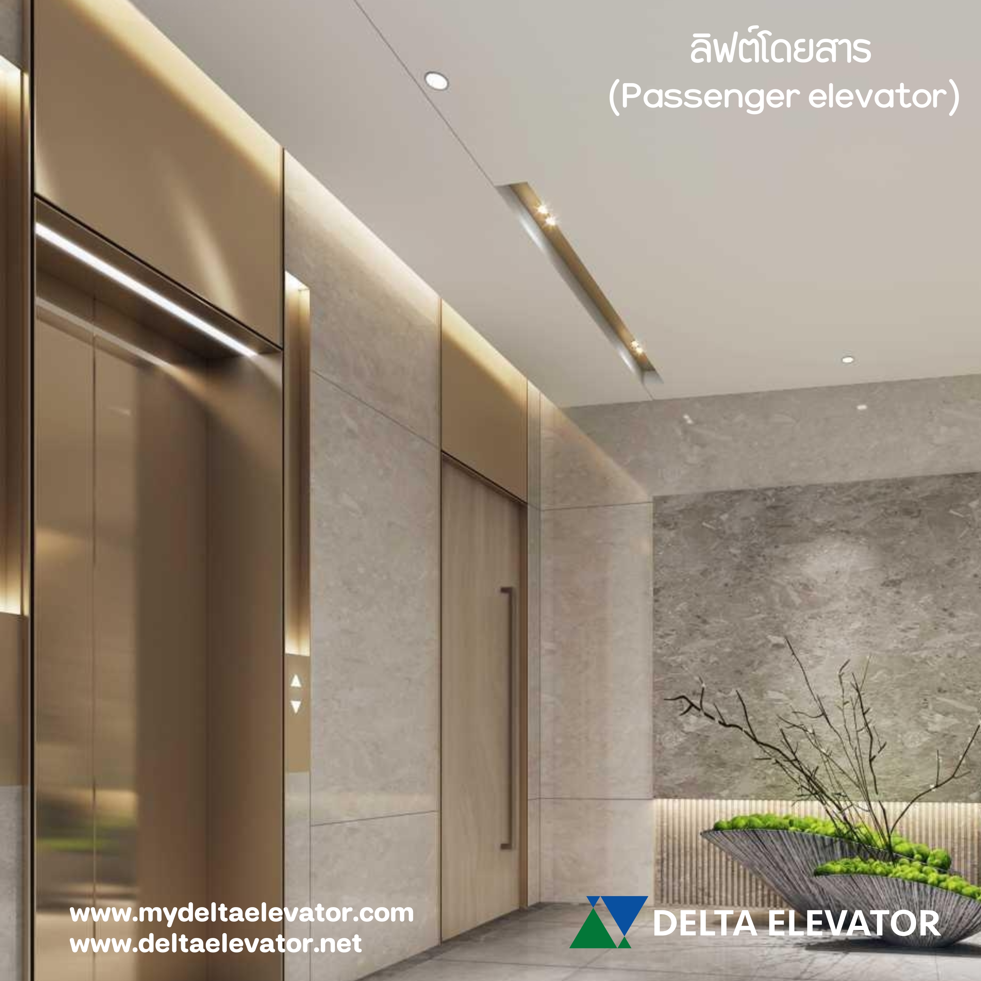 ลิฟต์โดยสาร (Passenger elevator)