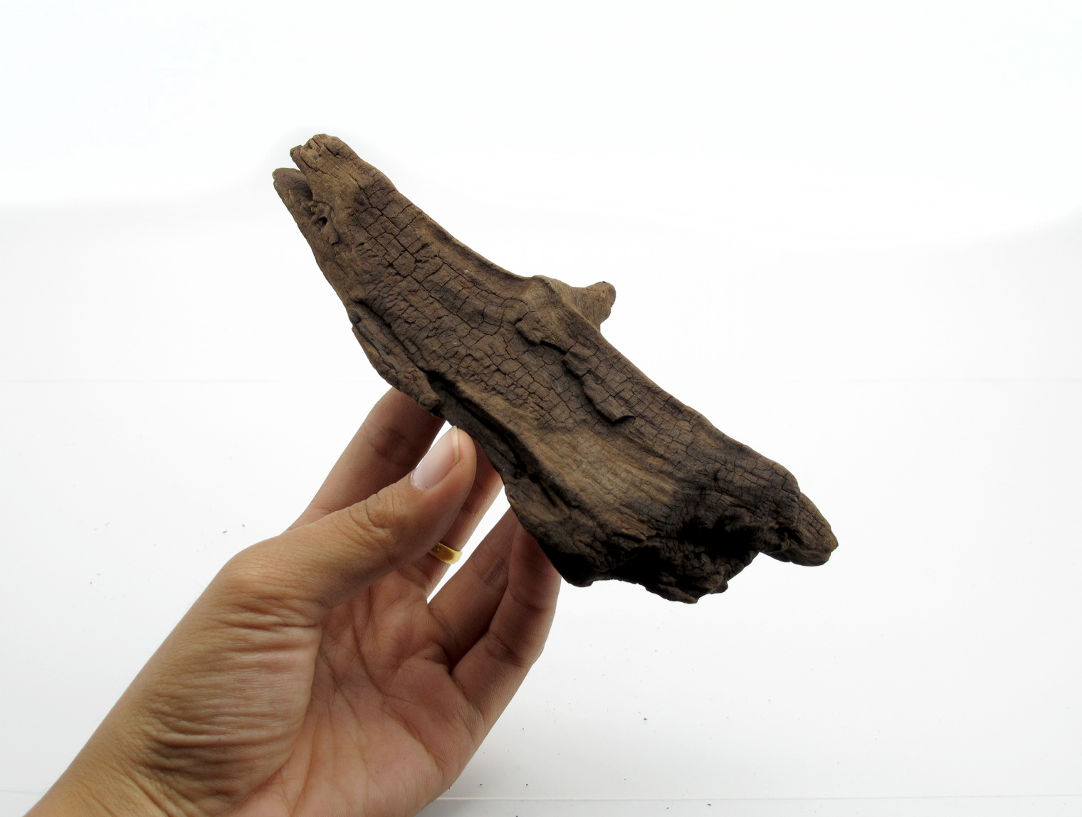 ขอนไม้ตกแต่งตู้ปลาหรือใช้เลี้ยงสัตว์เลื้อยคลาน 066