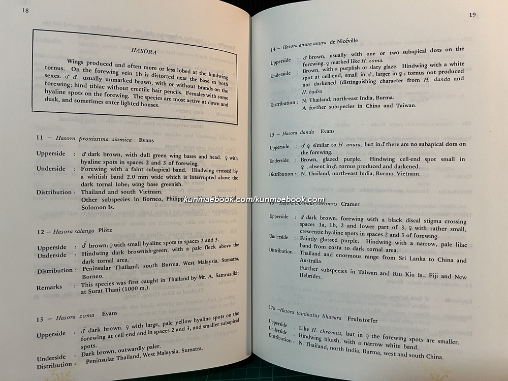 Butterflies in Thailand Volume 5 By Bro.Amnuay Pinratana