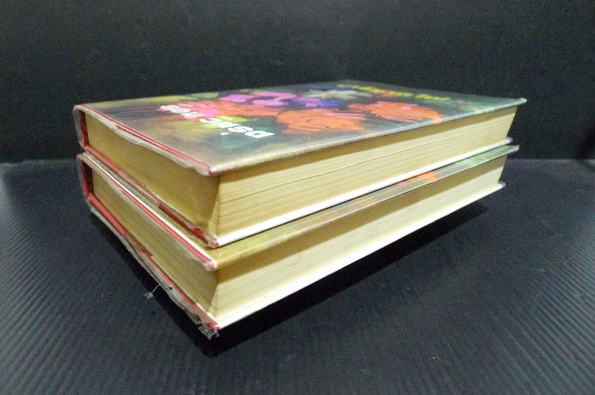 ปาริชาตไฟ ( 2 เล่มจบ ) ผลงานของ รอม วิศรุต (ศรีเฉลิม สุขประยูร นักเขียนนวนิยายสตรีอาวุโสชื่อดัง)