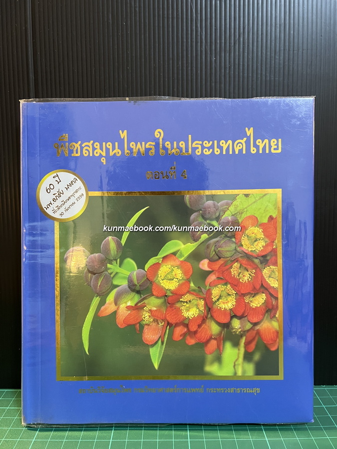 พืชสมุนไพรในประเทศไทย ตอนที่ 4